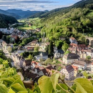 Junges Europa – Ausländische Fachkräfte für Tourismusgewerbe im Schwarzwald